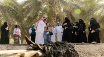 ضباب كثيف يقلص الرؤية إلى متر واحد ويوقف حركة المرور في الشرقية 1